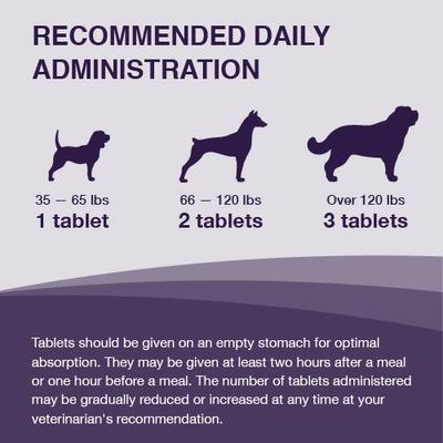 Show full view: Nutramax Denamarin with S-Adenosylmethionine & Silybin Tablets Liver Supplement for Large Dogs, 60 count slide 8 of 13