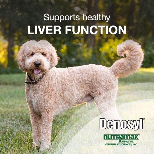 Nutramax Laboratories Denosyl Liver & Brain Health Supplement Stabilized Tablets for Large Dogs, 30 count