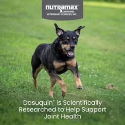 Nutramax Hip & Joint Dasuquin Soft Chews Joint Supplement for Small to Medium Dogs, 84 count slide 2 of 9