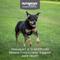 Show in main carousel: Nutramax Hip & Joint Dasuquin Soft Chews Joint Supplement for Small to Medium Dogs, 84 count slide 3 of 13
