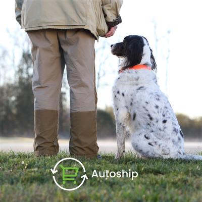 Show full view: Nutramax Hip & Joint Dasuquin Soft Chews Joint Supplement for Small to Medium Dogs, 84 count slide 10 of 13