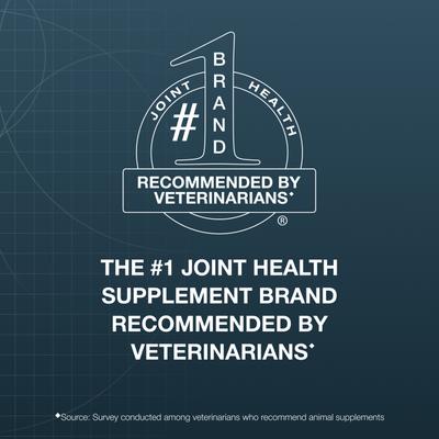Show full view: Nutramax Hip & Joint Dasuquin Soft Chews Joint Supplement for Small to Medium Dogs, 84 count slide 3 of 13