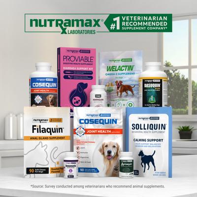 Show full view: Nutramax Hip & Joint Dasuquin Soft Chews Joint Supplement for Small to Medium Dogs, 84 count slide 9 of 13