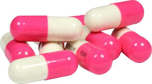 Show full view: Nutramax Proviable-DC Capsules Digestive Supplement+ Cosequin Capsules Joint Supplement for Cats slide 9 of 9