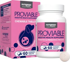 Nutramax Proviable Probiotics Daily Digestive Health Chewable Tablet Supplement for Dogs, 60 count