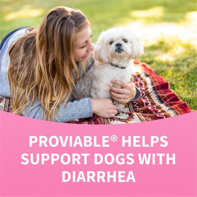 Show full view: Nutramax Proviable Probiotics Daily Digestive Health Chewable Tablet Supplement for Dogs, 60 count slide 9 of 12