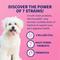Show in main carousel: Nutramax Proviable Probiotics Daily Digestive Health Chewable Tablet Supplement for Dogs, 60 count slide 4 of 13
