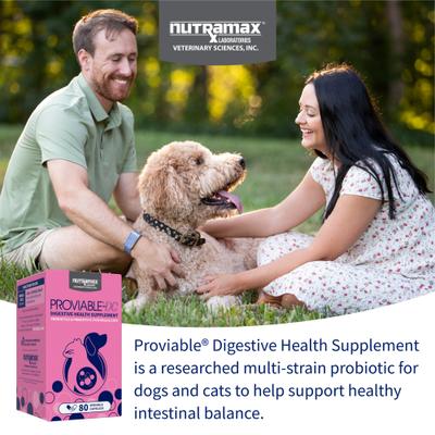Show full view: Nutramax Proviable Probiotics & Prebiotics Digestive Health Supplement for Dogs & Cats, 160 count slide 4 of 12