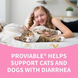 Nutramax Proviable Probiotics & Prebiotics Digestive Health Supplement for Dogs & Cats, 30 count