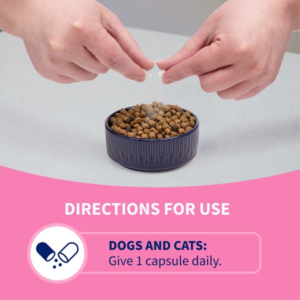 Nutramax Proviable Probiotics & Prebiotics Capsules Digestive Supplement for Cats & Dogs