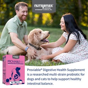 Nutramax Proviable Probiotics & Prebiotics Digestive Health Supplement for Dogs & Cats, 30 count