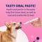 Show in main carousel: Nutramax Proviable Probiotics & Prebiotics Digestive Health Supplement for Small Dogs & Cats, 15 mL paste, 10 capsules slide 7 of 11