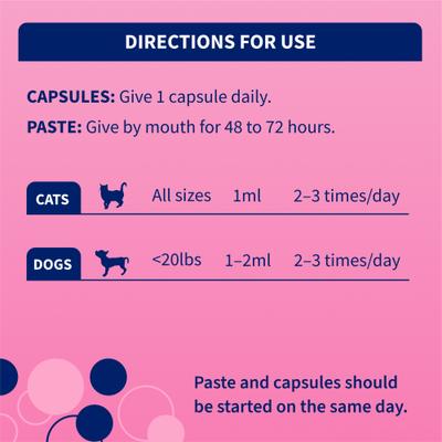 Show full view: Nutramax Proviable Probiotics & Prebiotics Digestive Health Supplement for Small Dogs & Cats, 15 mL paste, 10 capsules slide 6 of 11