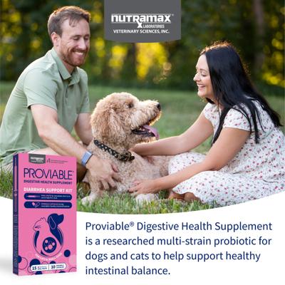 Show full view: Nutramax Proviable Probiotics & Prebiotics Digestive Health Supplement for Small Dogs & Cats, 15 mL paste, 10 capsules slide 3 of 11