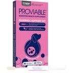 Nutramax Proviable Probiotics & Prebiotics Digestive Health Supplement for Dogs, 30 mL paste, 10 capsules