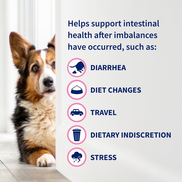 Nutramax Proviable Probiotics & Prebiotics Digestive Health Supplement for Dogs