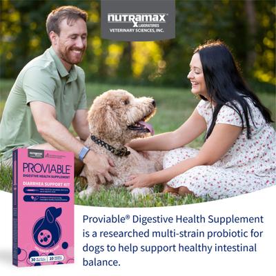 Show full view: Nutramax Proviable Probiotics & Prebiotics Digestive Health Supplement for Dogs, 30 mL paste, 10 capsules slide 3 of 11