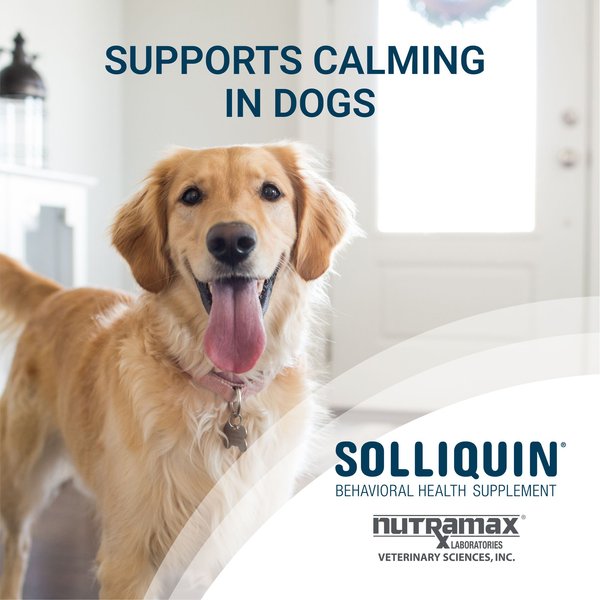 Nutramax Solliquin Chewable Tablets Calming Behavioral Health Supplement for Dogs