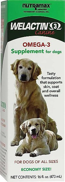 Show full view: Nutramax Welactin Canine Omega-3 Liquid + Dasuquin with MSM Soft Chews Joint Health Large Dog Supplement slide 2 of 7