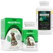 Show in main carousel: Nutramax Welactin Canine Omega-3 Softgel Capsules + Dasuquin with MSM Joint Health Chewable Tablets Large Dog Supplement slide 1 of 10