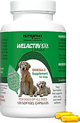 Nutramax Welactin Omega-3 Fish Oil Skin Liquid Softgels Skin & Coat Supplement for Dogs, 120 count