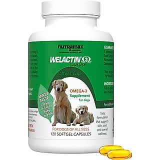 Nutramax Welactin Omega-3 Fish Oil Skin Liquid Softgels Skin & Coat Supplement for Dogs, 120 count slide 1 of 8