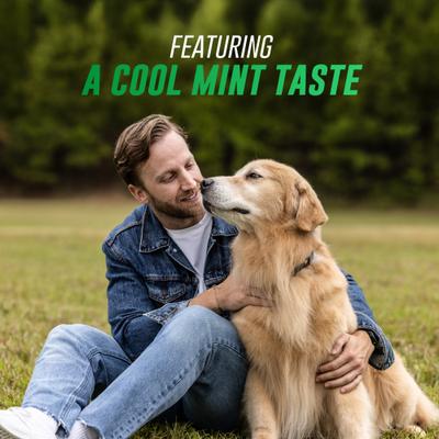 Nutramax Welactin Omega-3 Fish Oil Skin Liquid Softgels Skin & Coat Supplement for Dogs