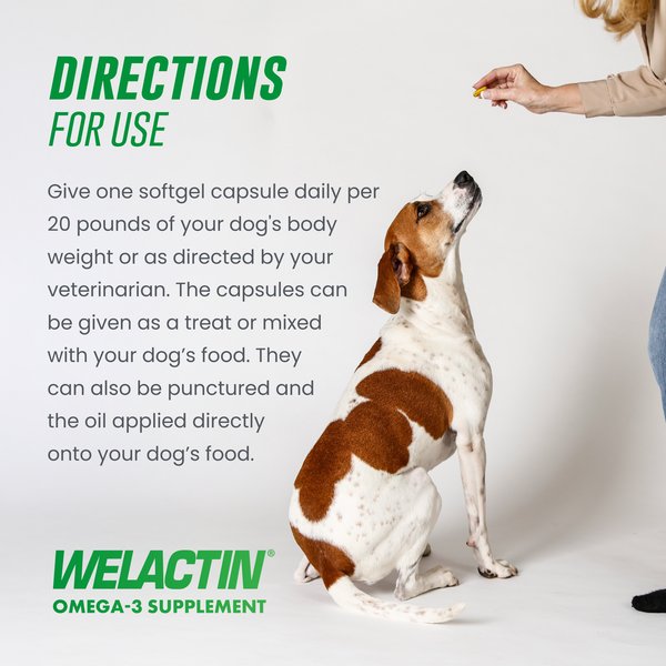 Nutramax Welactin Omega-3 Fish Oil Skin Liquid Softgels Skin & Coat Supplement for Dogs