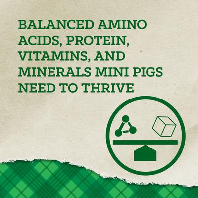 Show full view: Nutrena Country Feeds 16% Pellet Mini Pig Feed, 25-lb bag slide 3 of 10