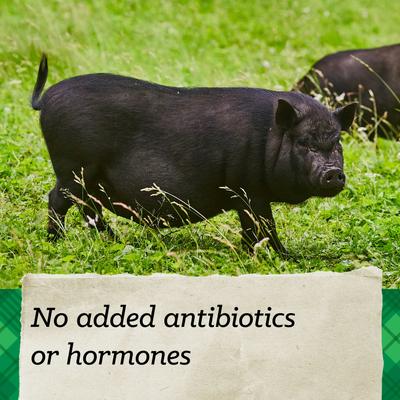 Show full view: Nutrena Country Feeds 16% Pellet Mini Pig Feed, 25-lb bag slide 6 of 10