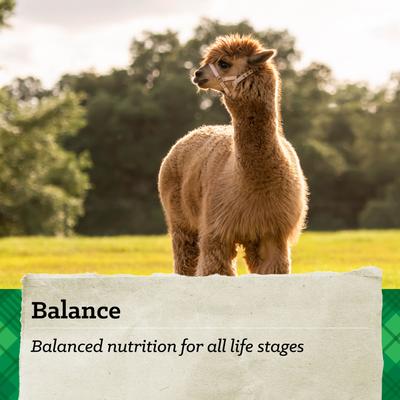 Show full view: Nutrena Country Feeds Llama & Alpaca Feed, 50-lb bag slide 2 of 10
