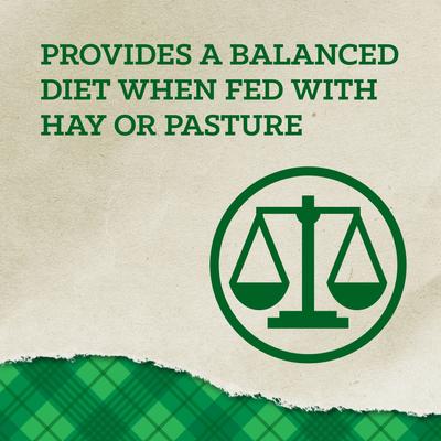 Show full view: Nutrena Country Feeds Llama & Alpaca Feed, 50-lb bag slide 6 of 10