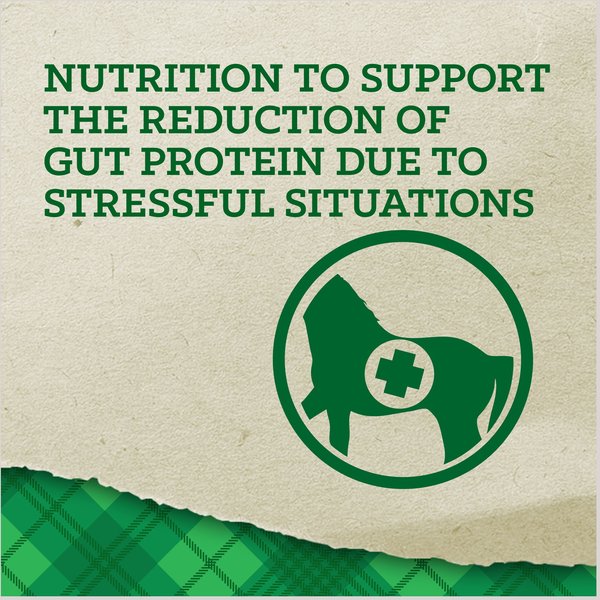 Show full view: Nutrena Empower Digestive Balance Horse Supplement, 40-lb bag slide 2 of 10