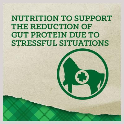 Show full view: Nutrena Empower Digestive Balance Horse Supplement, 40-lb bag slide 2 of 10