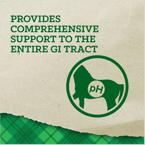 Show full view: Nutrena Empower Digestive Balance Horse Supplement, 40-lb bag slide 3 of 10