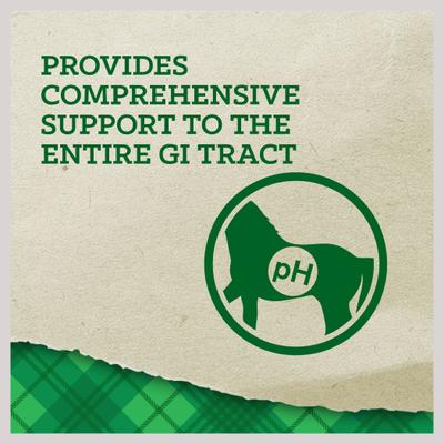 Show full view: Nutrena Empower Digestive Balance Horse Supplement, 40-lb bag slide 3 of 10