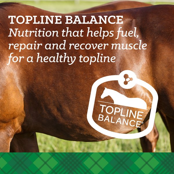 Show full view: Nutrena Empower Digestive Balance Horse Supplement, 40-lb bag slide 6 of 10