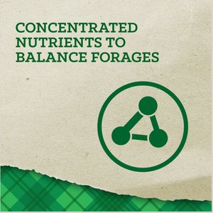 Nutrena Empower Topline Balance Horse Supplement, 40-lb bag