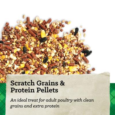 Nutrena Hi Pro Chicken 12% Protein Scratch Grains & Protein Pellets