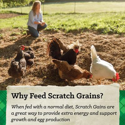 Show full view: Nutrena Hi Pro Chicken 12% Protein Scratch Grains & Protein Pellets Chicken Food, 50-lb bag slide 7 of 9