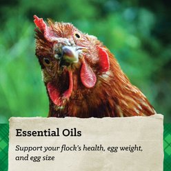Nutrena NatureWise Egg Producer 21% Protein Layer Pellet Chicken Feed, 50-lb bag slide 2 of 6