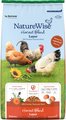 Nutrena NatureWise Harvest Blend 18% Protein Layer Chicken Feed, 40-lb bag