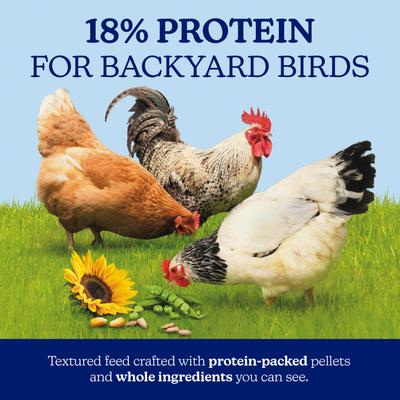 Show full view: Nutrena NatureWise Harvest Blend 18% Protein Layer Chicken Feed, 40-lb bag slide 3 of 11