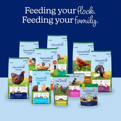 Show full view: Nutrena NatureWise Harvest Blend 18% Protein Layer Chicken Feed, 40-lb bag slide 9 of 11