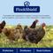Show in main carousel: Nutrena NatureWise Harvest Blend 18% Protein Layer Chicken Feed, 40-lb bag slide 6 of 11