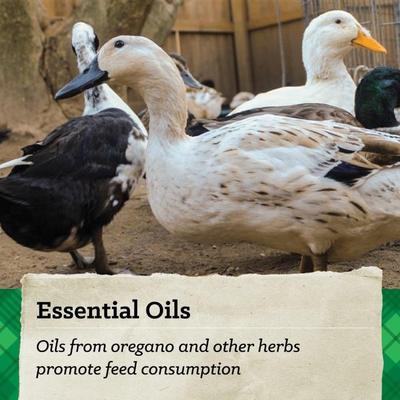 Show full view: Nutrena NatureWise Nourishing Waterfowl 18% Protein Floating Bits Duck Food, 30-lb bag slide 3 of 9