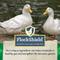 Show in main carousel: Nutrena NatureWise Nourishing Waterfowl 18% Protein Floating Bits Duck Food, 30-lb bag slide 4 of 9