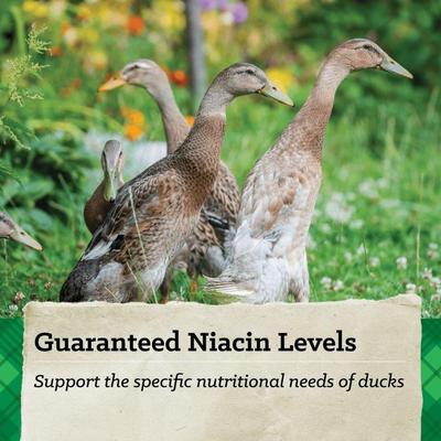 Show full view: Nutrena NatureWise Nourishing Waterfowl 18% Protein Floating Bits Duck Food, 30-lb bag slide 5 of 9