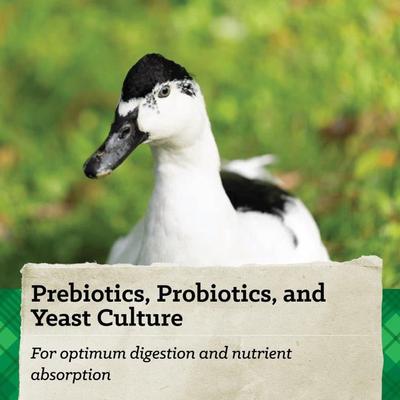 Show full view: Nutrena NatureWise Nourishing Waterfowl 18% Protein Floating Bits Duck Food, 30-lb bag slide 6 of 9