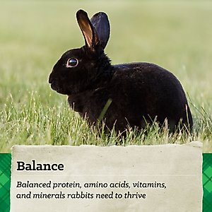 Nutrena NatureWise Premium Rabbit Food, 25-lb bag
